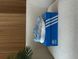 Кросівки Adidas Adizero Evo SL Glow Blue/Silver Metallic 21400-Блакитний-40 фото 2
