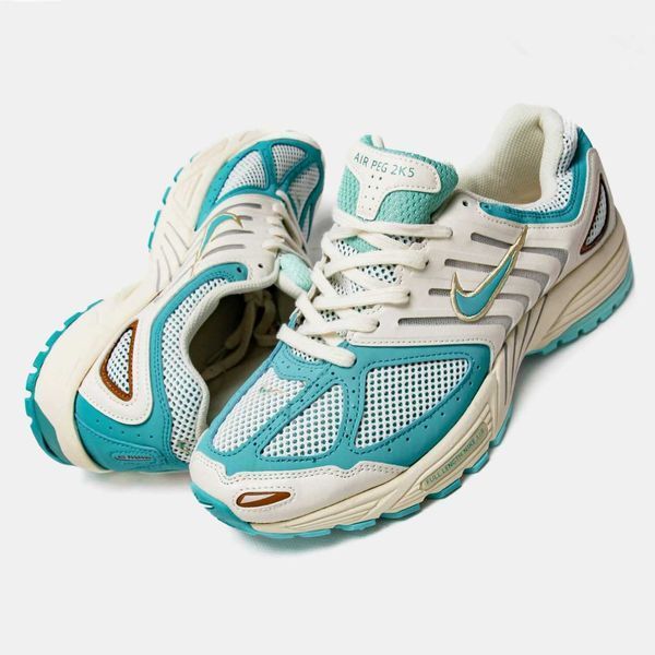 Кросівки Nike Air Pegasus 2K5 Coconut Milk Bicoastal 17490-Мультиколір-40 фото