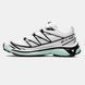 Кросівки Salomon S/LAB XT-6 White Icy Morn 13264-Мультиколір-36 фото 1